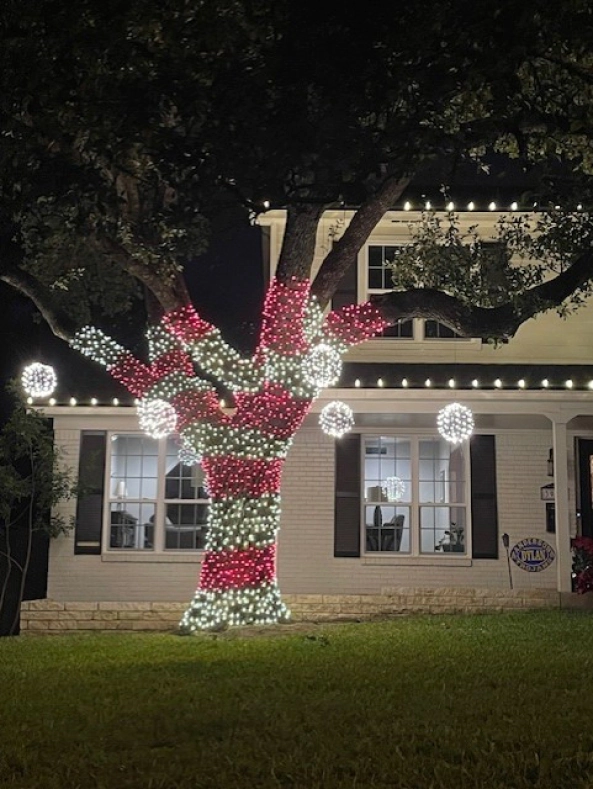 Christmas Lights Gal 1