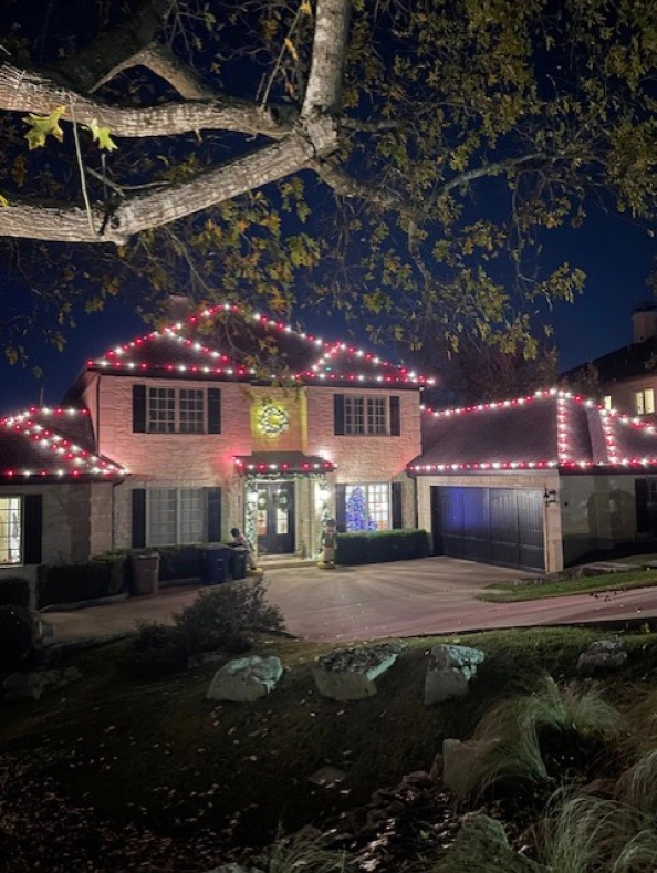 Christmas Lights Gal 2