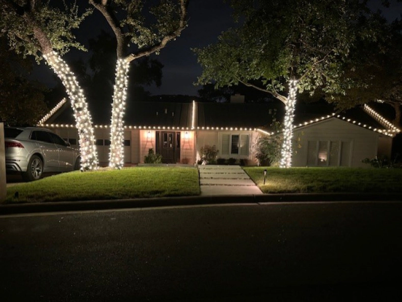 Christmas Lights Gal 3