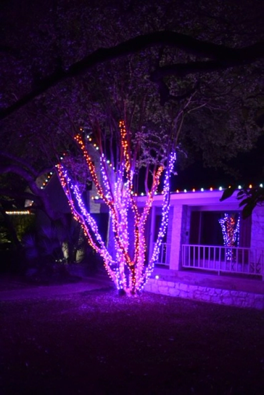 Christmas Lights Gal 6